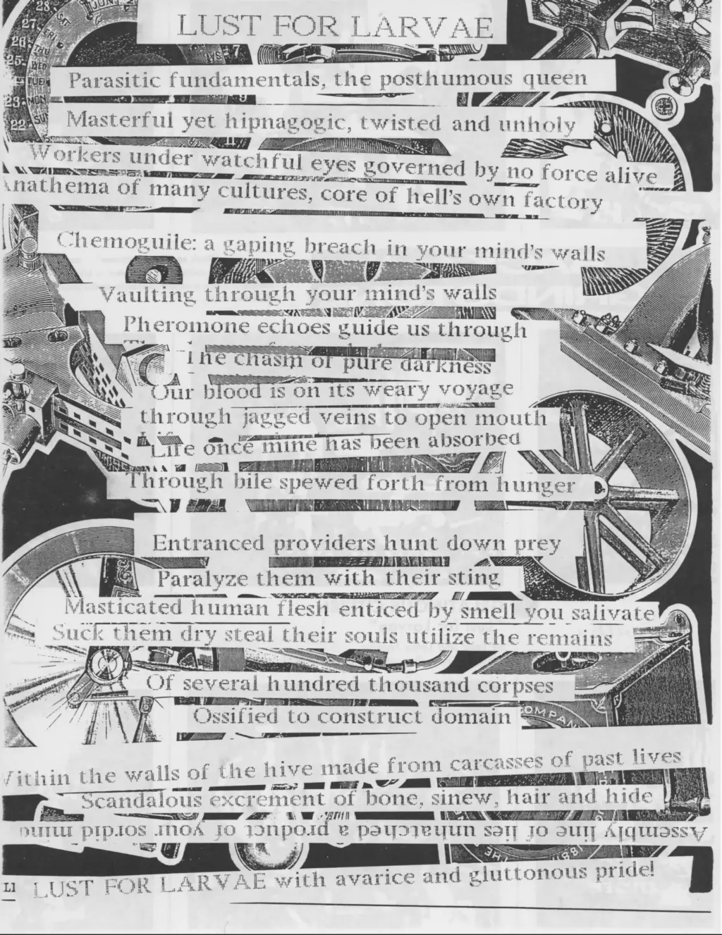 Gelatinous Citizen Lust for Larvae Flyer